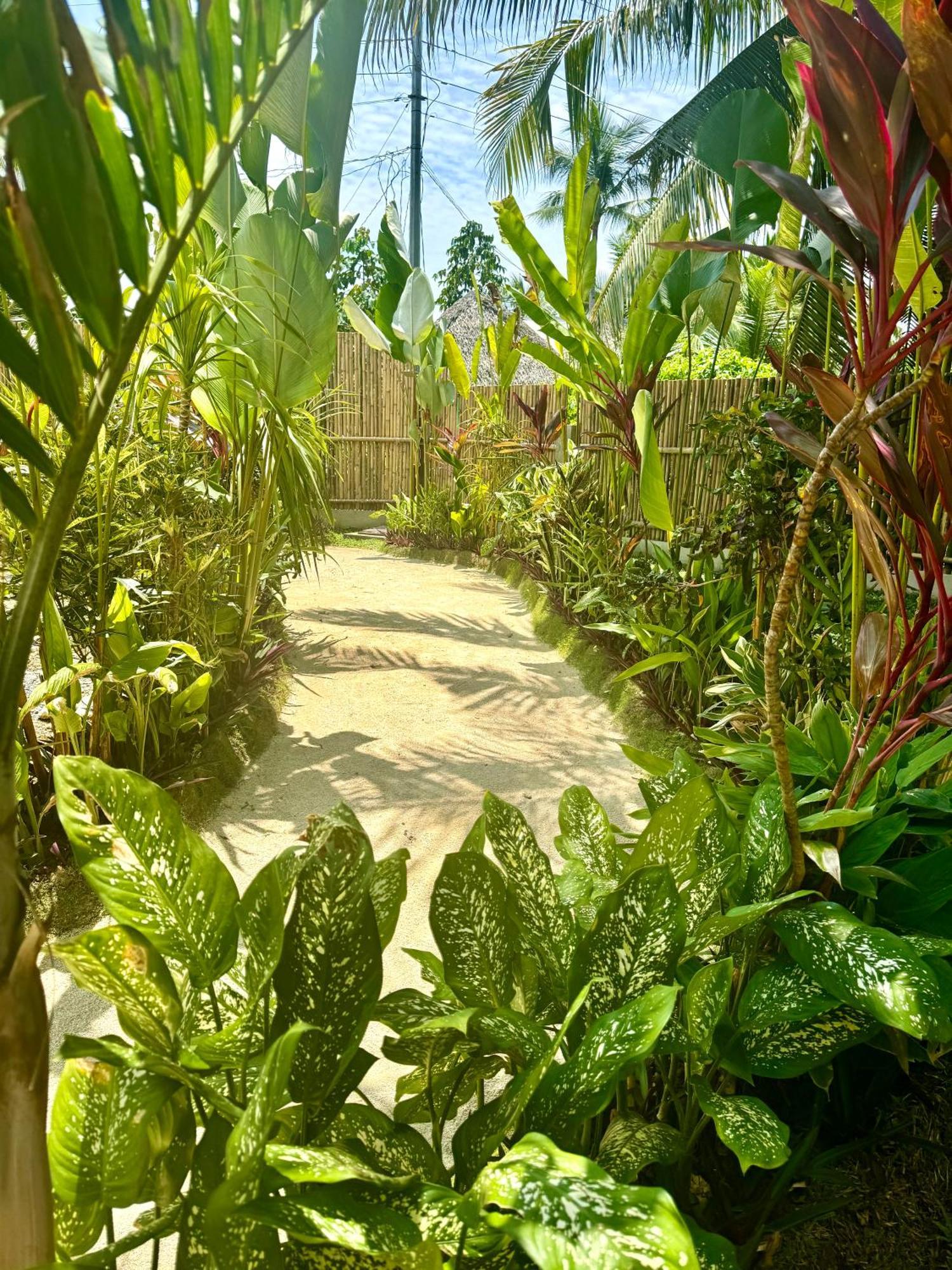 Villa Pura Vida Apartments Siargao 제너럴 루나 외부 사진